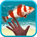 Catch Flying Fish Game aplikacja