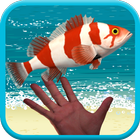 Catch Flying Fish Game icône