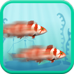 Two Crazy Fish Racing