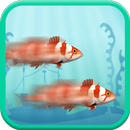 Two Crazy Fish Racing aplikacja