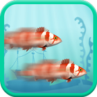 Two Crazy Fish Racing Zeichen