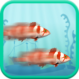 Two Crazy Fish Racing icône