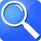 The WebSearch icon