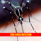 Zika আইকন