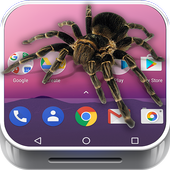 Spider on Phone joke icon