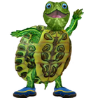Talking Turtle icon