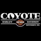 Coyote HD icône