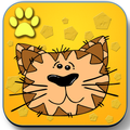 Cat Quiz & Trivia