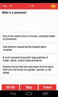 The Horse Quiz screenshot 2