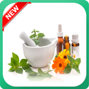 Medicinal  Fruit and Vegetable Herbs APK