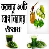 করলার ৩০টি রোগ নিরাময়  ঔষধ icon