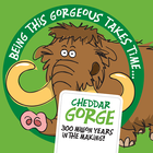 Cheddar Gorge icon