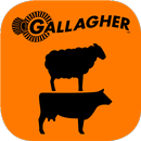 Gallagher Animal Dashboard APK