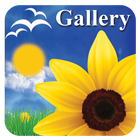 آیکون‌ Gallery : Alternative Photos Lock