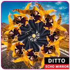 Ditto Echo Mirror icône