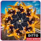 Ditto Echo Mirror biểu tượng