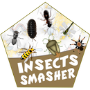 Ant Smasher Game APK