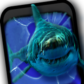 Angry Shark Pet Cracks Screen আইকন