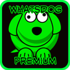 App WhatsDog Latest APK