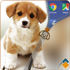 Puppy Zipper Lock أيقونة