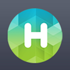 Holbe icon