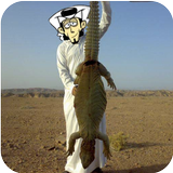 صيد الضبان ícone