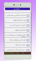 Urdu Proverbs تصوير الشاشة 3