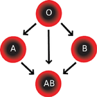 কোন রক্তের গ্রুপে কোন রোগ হয় иконка