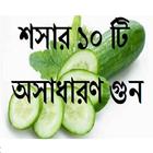 Icona শশার ১০ টি অসাদারণ গুন