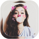 Photo Stickers and Emoji Picture Editor, Face Swap APK