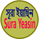 সূরা ইয়াছিন Sura Yeasin Learn APK