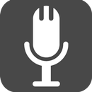 Enregistreur Vocal Pro APK