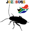 ”Jozi Bugs
