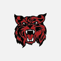 Braymer C4 Schools, MO