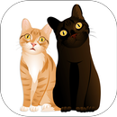 CamMoji by Cole and Marmalade-APK