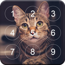 Screen Lock APK