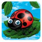 Super Lady bird game আইকন