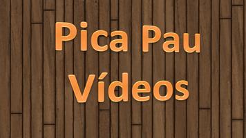 Picapau - Vídeos Antigos Affiche