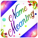Name Meaning Photo Editor - Focus n Filters APK