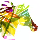EKISM Event