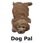 Dog Pal icono