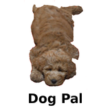 Dog Pal icon