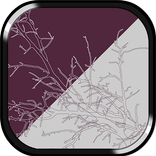 Other Place Appum™