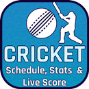 Cricket Score Live APK