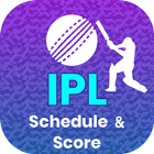 IPL 2018 Live Score icône