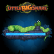 ”Little Big Snake (.io)