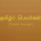 Tamil Baby Names simgesi