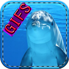 Images of dolphins icon