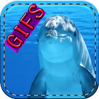 Imagenes de delfines ikona