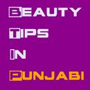 APK Beauty Tips In Punjabi